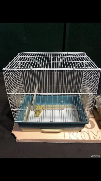 ჩიტების გალია Ferplast - კარგ მდგომარეობაში