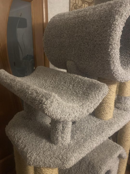 დიდი კატების სახლის კომპლექსი ნაკაწრებით