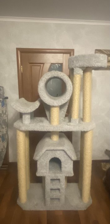 დიდი კატების სახლის კომპლექსი ნაკაწრებით