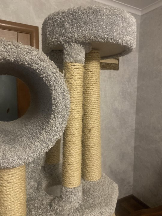 დიდი კატების სახლის კომპლექსი ნაკაწრებით